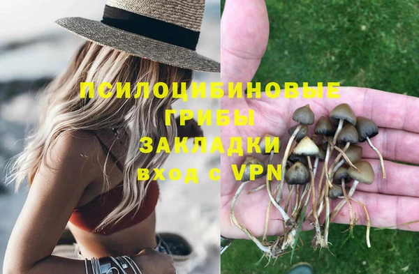 молекула духа Аркадак