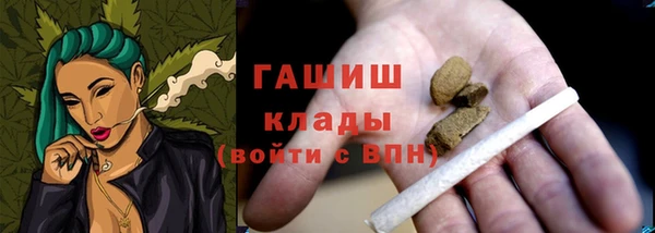 индика Алзамай