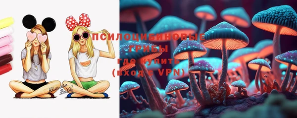 молекула духа Аркадак