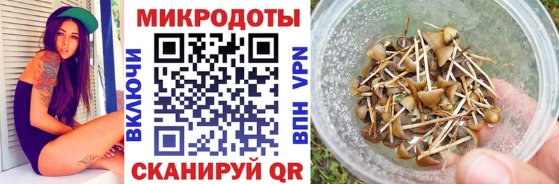 Галлюциногенные грибы Psilocybine cubensis Бодайбо